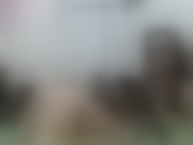 Live sex webcam photo for saimajayeb #294309983