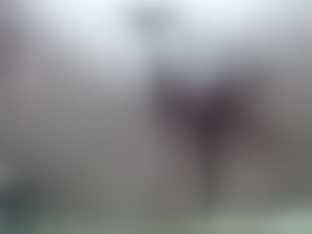 Live sex webcam photo for saimajayeb #294338942