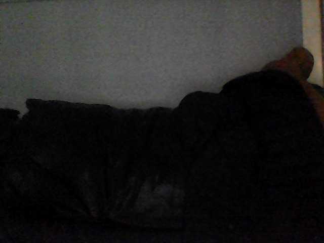 Live sex webcam photo for salex86cock #277681864