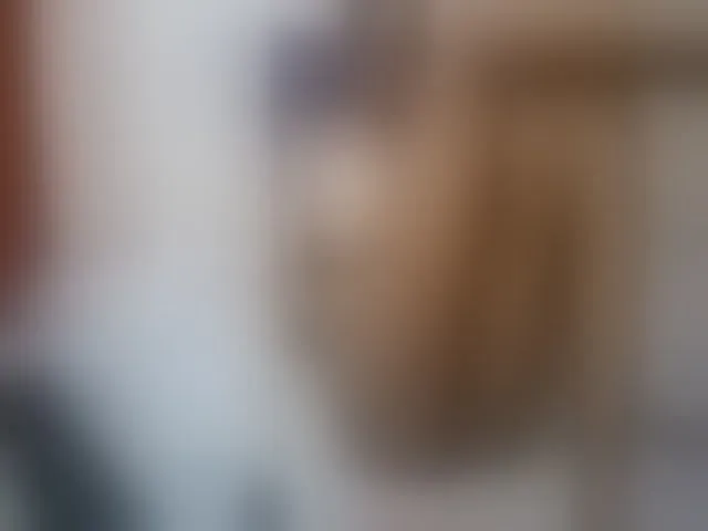 Live sex webcam photo for sally-cruz1 #292987917