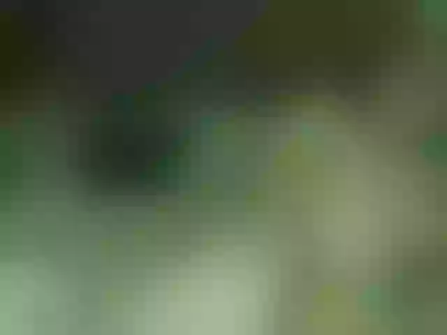 Live sex webcam photo for salmalopez #291723722