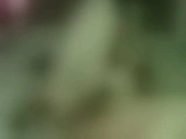 Live sex webcam photo for salmalopez #291727818