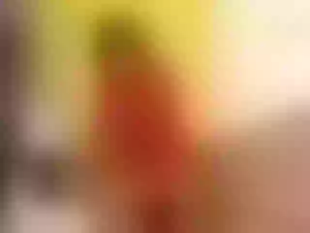 Live sex webcam photo for salo-funny #291845225