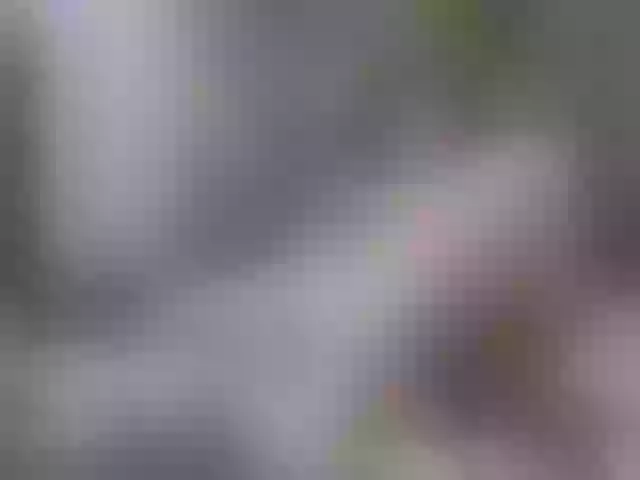 Live sex webcam photo for salome8 #277364413