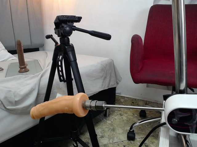 Live sex webcam photo for salomewilliams #290297061