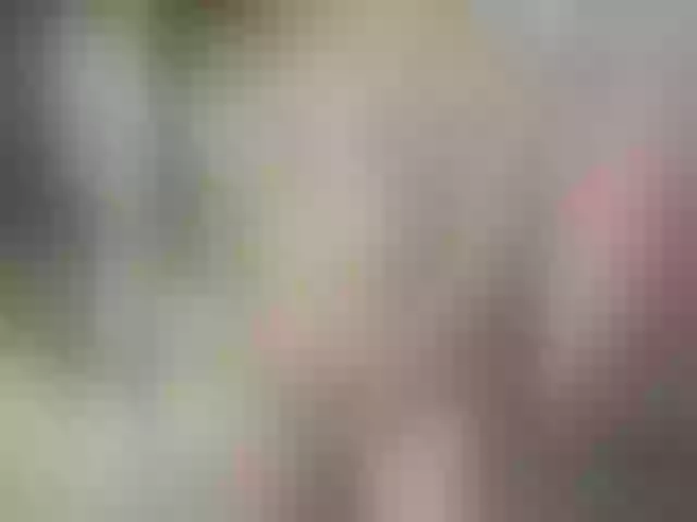Live sex webcam photo for salomewoods #282037969