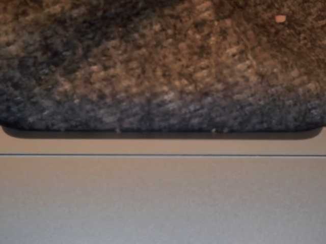 Live sex webcam photo for sam-cum4y #291992066