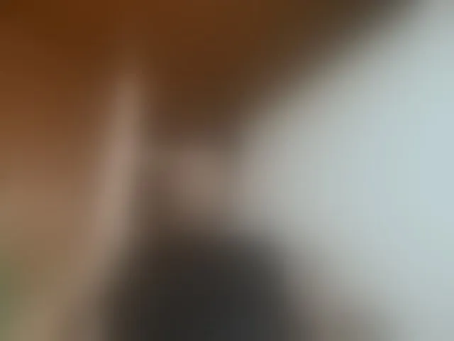 Live sex webcam photo for sam-her #293277671
