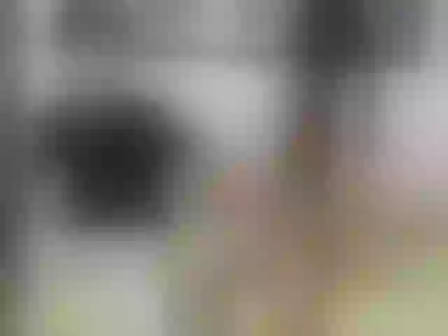 Live sex webcam photo for samantha-18 #273758320