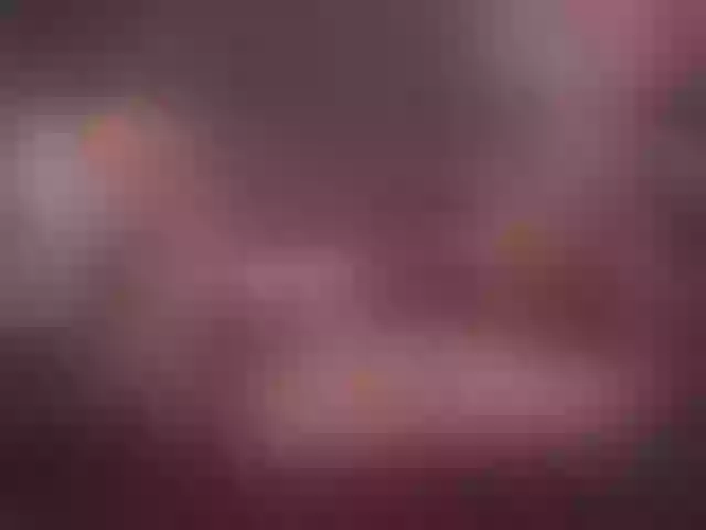 Live sex webcam photo for samueltattoo #292272528