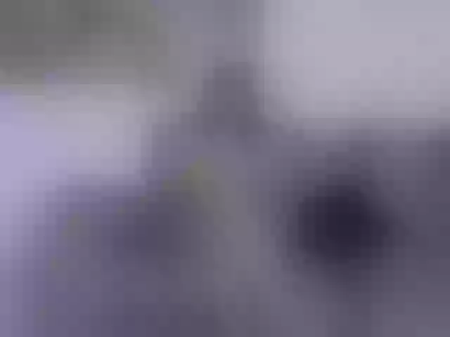 Live sex webcam photo for samymelo #292236645