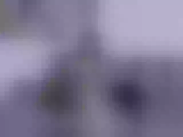 Live sex webcam photo for samymelo #292248775