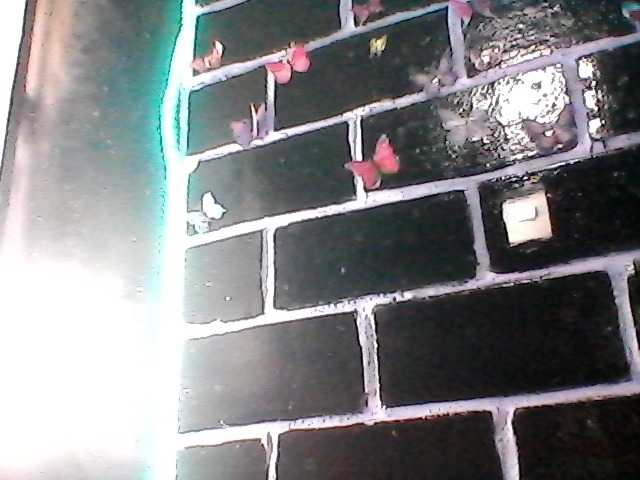 Live sex webcam photo for sarasandle #276088901