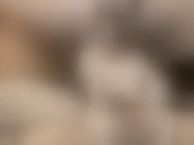Live sex webcam photo for sashagul #292789613