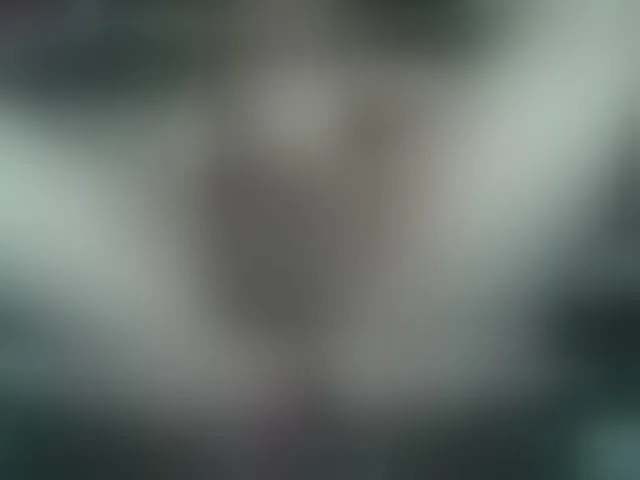 Live sex webcam photo for sashs1925 #293548545