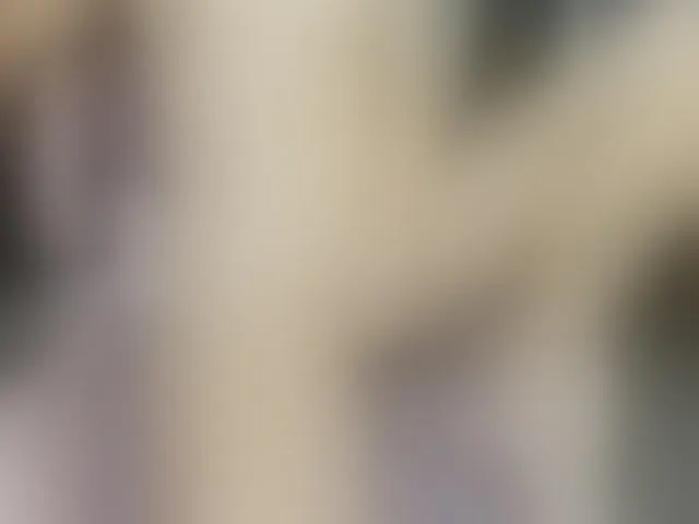 Live sex webcam photo for scarleth18 #292797380