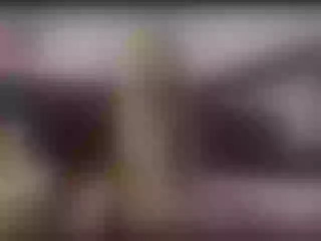 Live sex webcam photo for scarletleesex #274341763