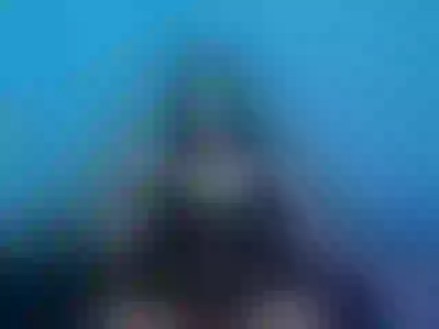 Live sex webcam photo for scarletstarh #277252584