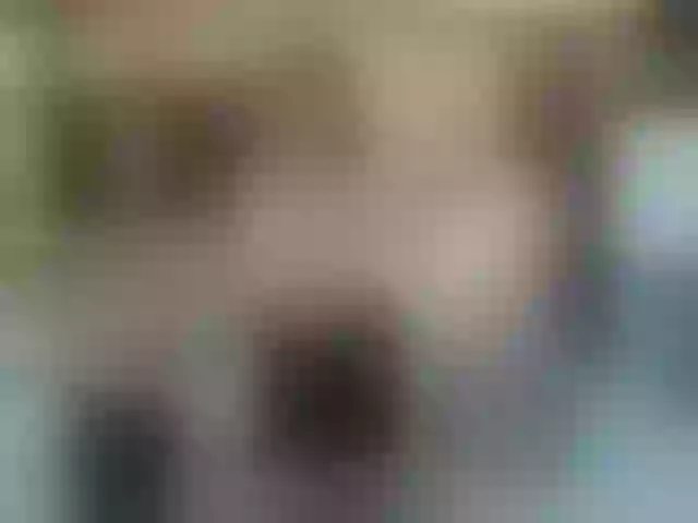 Live sex webcam photo for secret-of-roomies #292243975