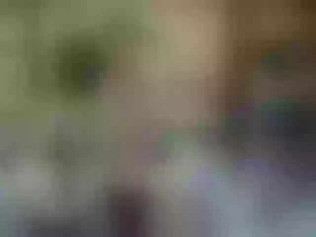 Live sex webcam photo for secret-of-roomies #292262002