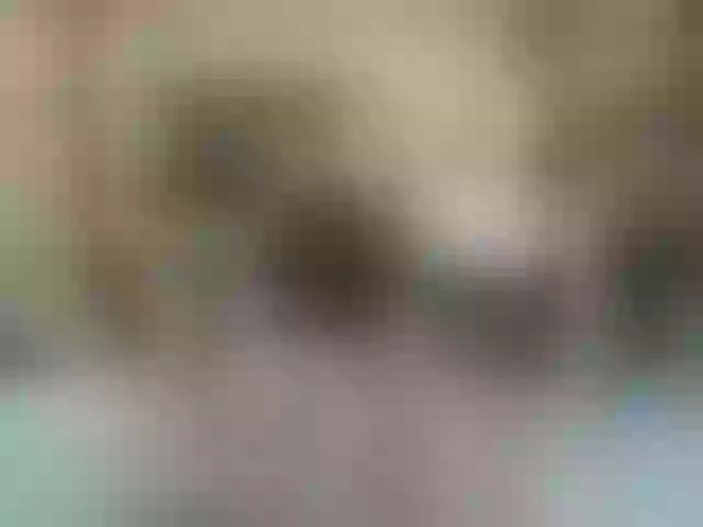 Live sex webcam photo for secret-of-roomies #292264007