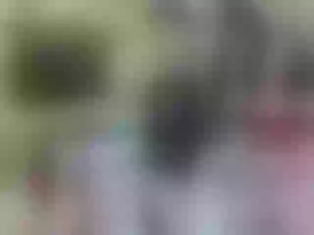 Live sex webcam photo for secret-of-roomies #292278282