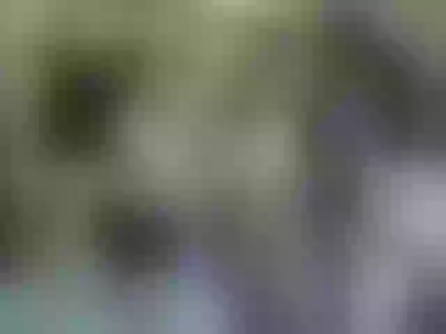 Live sex webcam photo for secret-of-roomies #292295727