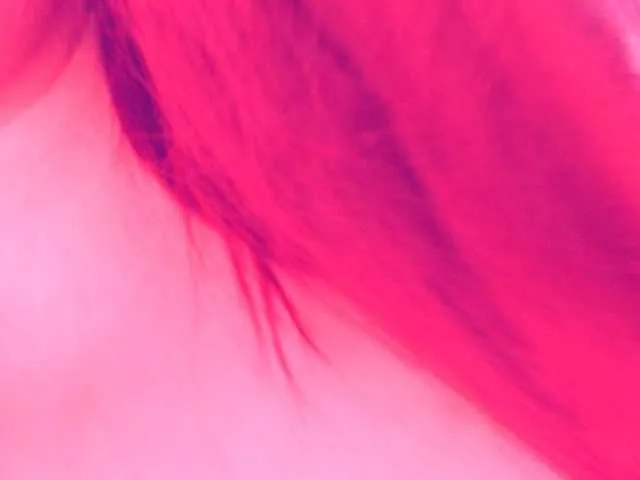 Live sex webcam photo for secretbella #291765631