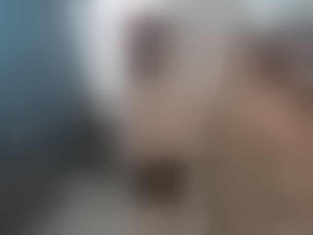 Live sex webcam photo for secretroomies-1 #293623794