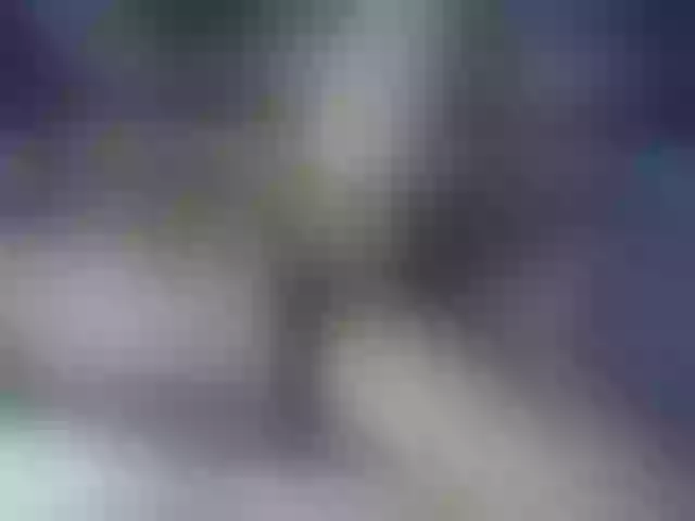 Live sex webcam photo for seeyou1116 #276757413