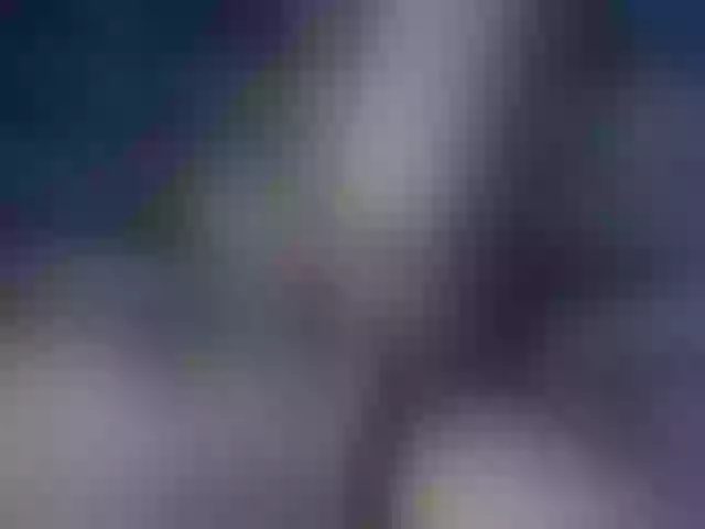 Live sex webcam photo for seeyou1116 #277624685