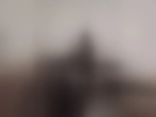 Live sex webcam photo for seksiIrena #294138308