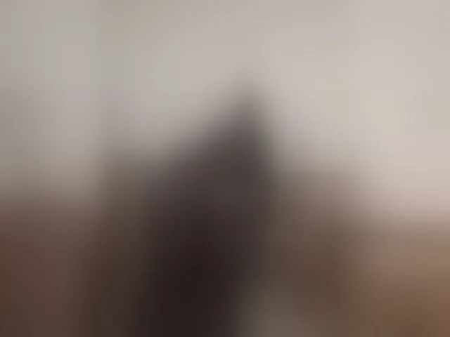 Live sex webcam photo for seksiIrena #294188795
