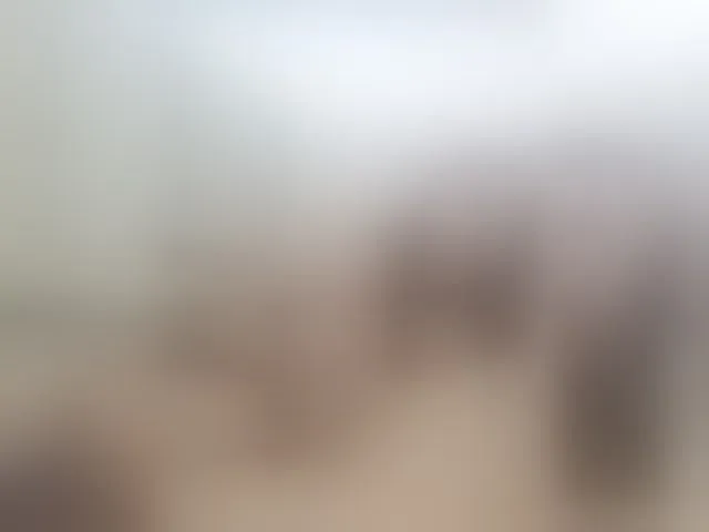 Live sex webcam photo for seksiparaa #291925131