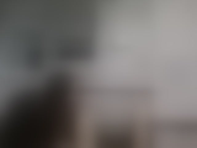 Live sex webcam photo for seksiparaa #292706712