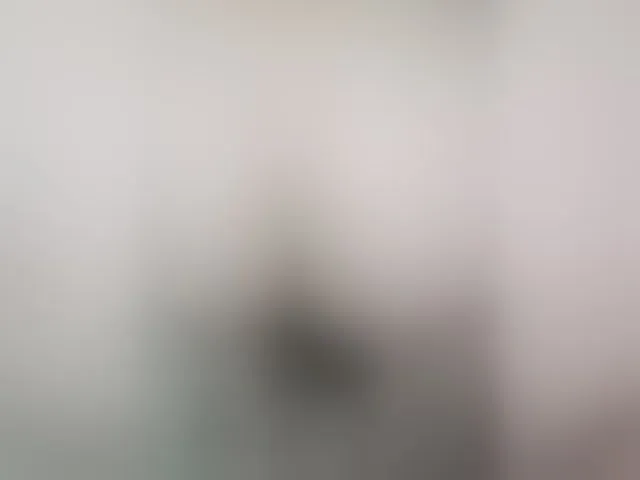 Live sex webcam photo for seksiparaa #293196126