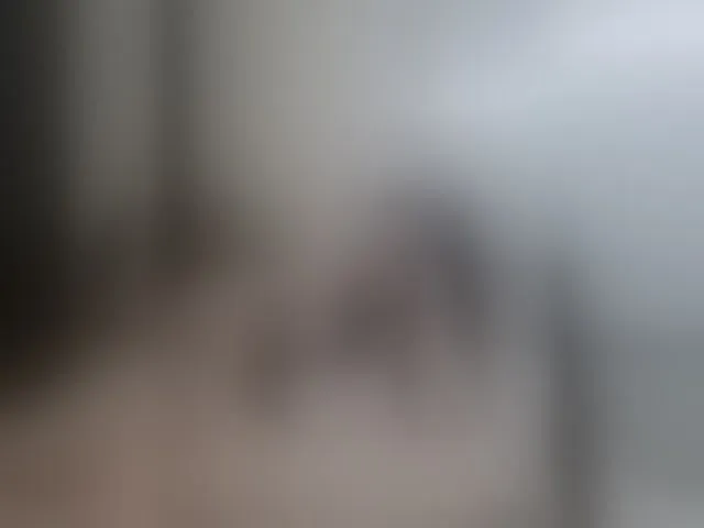 Live sex webcam photo for seksiparaa #293302120