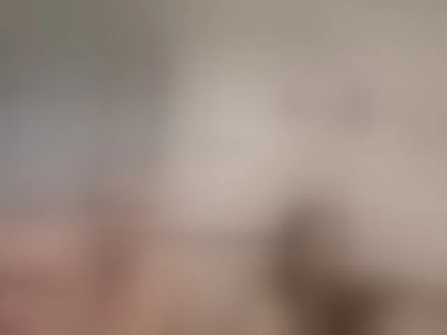 Live sex webcam photo for seksiparaa #293381245