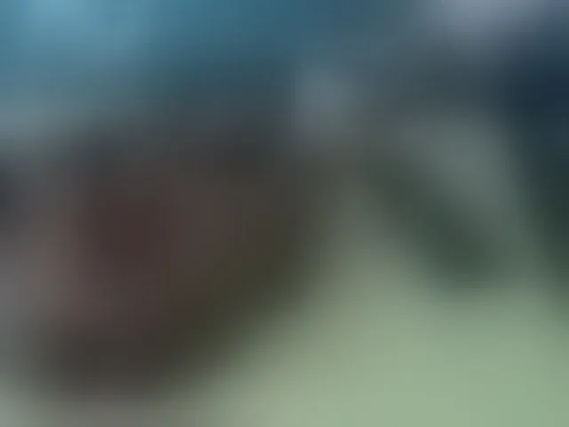 Live sex webcam photo for selenayou #272798105