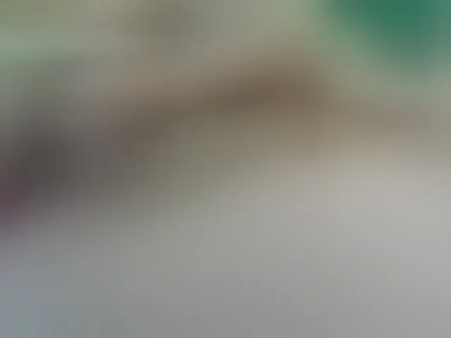 Live sex webcam photo for selinem00n #288994874