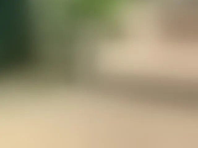 Live sex webcam photo for sereneloving #294100760