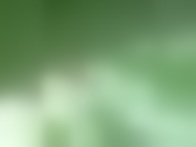 Live sex webcam photo for sesybob2016 #293968817