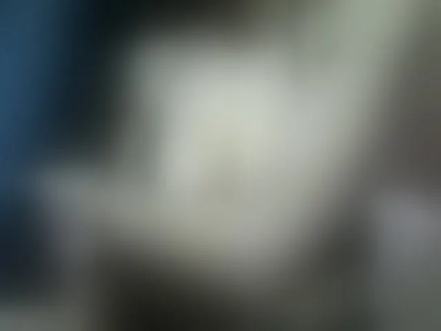 Live sex webcam photo for seths #293600520