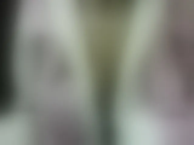 Live sex webcam photo for seths #293704338