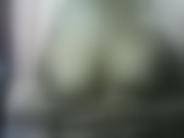 Live sex webcam photo for seths #293914452