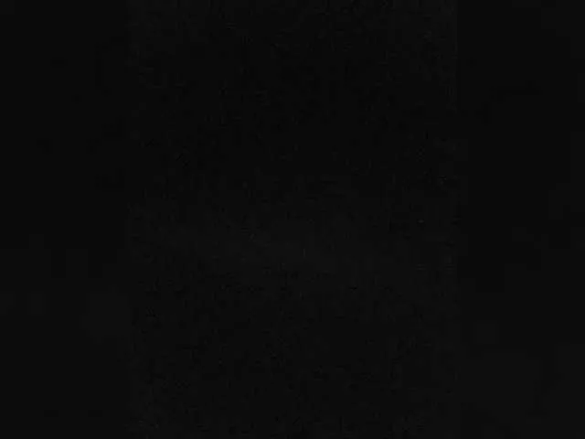 Live sex webcam photo for sexpara2022lo #291033250