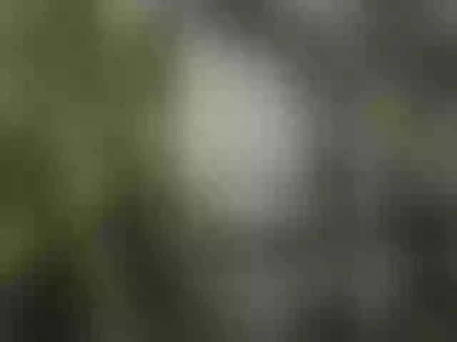 Live sex webcam photo for sexpara2022lo #291210505