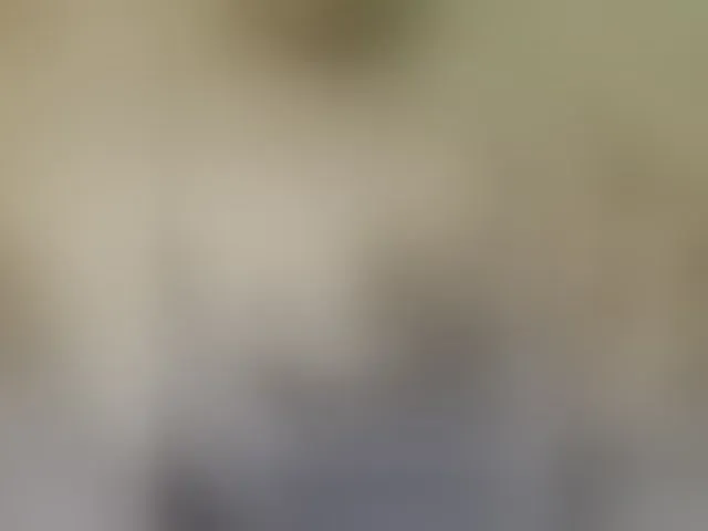 Live sex webcam photo for sexpara2022lo #291667276