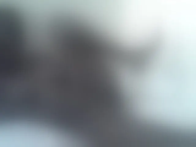 Live sex webcam photo for sexxyme #290366414