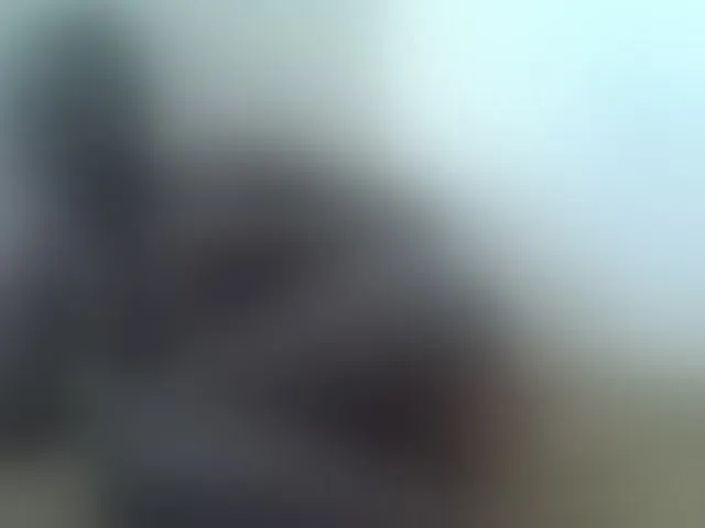 Live sex webcam photo for sexxyme #290764388